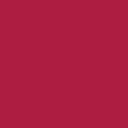 Culori Acrilice, 120ml, Sonnet Nevskaya Palitra 317 Madder Lake Red
