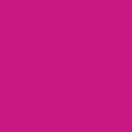 Culori Acrilice, 120ml, Sonnet Nevskaya Palitra 322 Rose