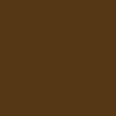 Culori Acrilice, 120ml, Sonnet Nevskaya Palitra 415 Raw Umber