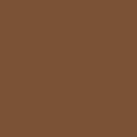 Montana Black, Vopsea Spray Graffiti, 400ml - 8060 Chocolate